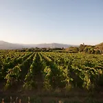 L'antica Vigna *