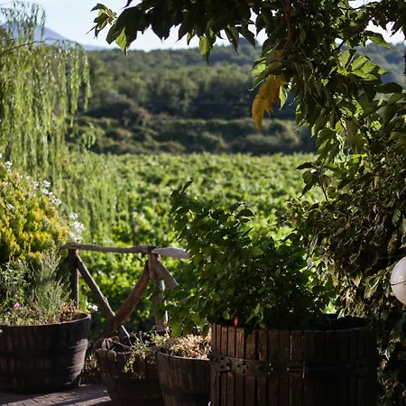 L'antica Vigna Randazzo