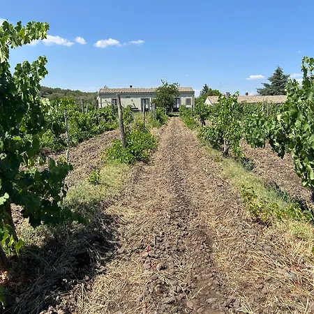 L'antica Vigna * Randazzo