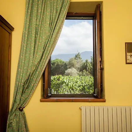 Farm stay L'antica Vigna Randazzo