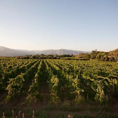 L'antica Vigna *