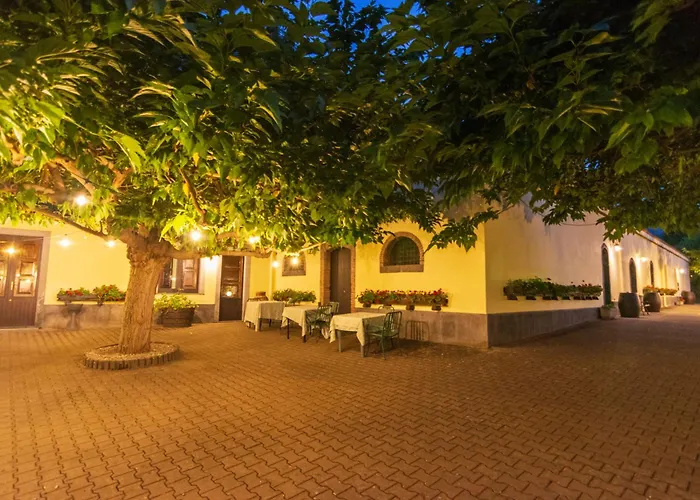 L'antica Vigna Bauernhof Randazzo